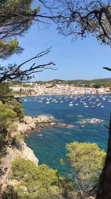 The Golden Oak In Calella Centre - 100M From Beach Palafrugell Luaran gambar